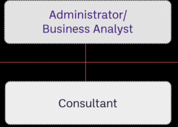NetSuite Administrator / Business Analyst Career Spotlight | Anderson ...