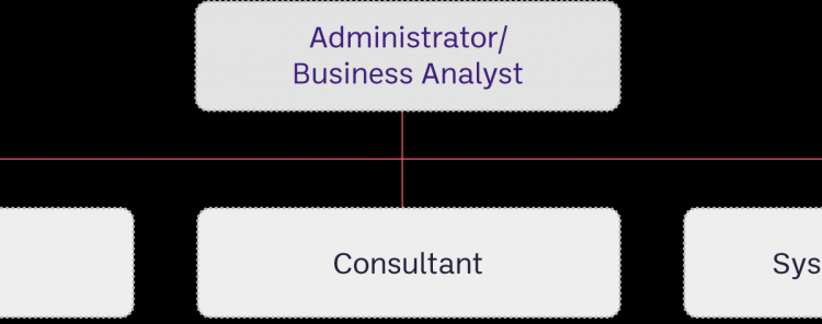 NetSuite Administrator / Business Analyst Career Spotlight | Anderson ...
