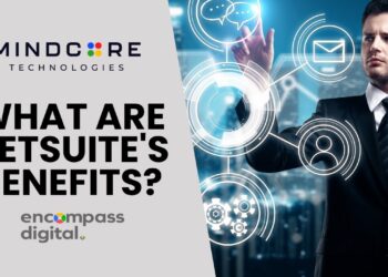 Boost NetSuite ROI with Managed Services | PDF