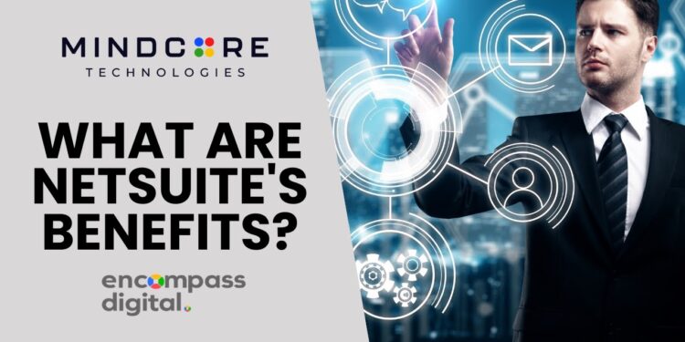 Boost NetSuite ROI with Managed Services | PDF